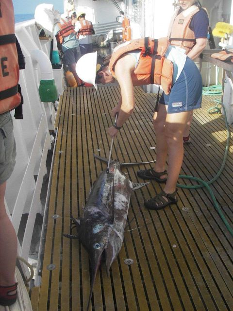 Longline fishing research on the NOAA Ship OSCAR ELTON SETTE Picture