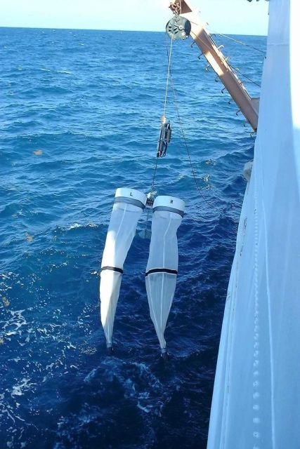 Bongo nets being deployed on NOAA Ship GORDON GUNTER Picture