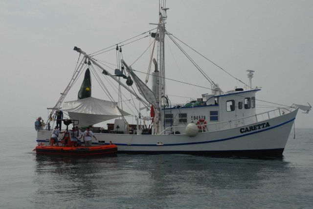 NOAA R/V CARETTA being used for fisheries investigations in the Gulf of Mexico. Picture
