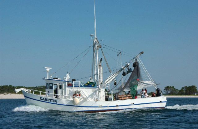 NOAA R/V Caretta cruising along the northern Gulf Coast. Picture