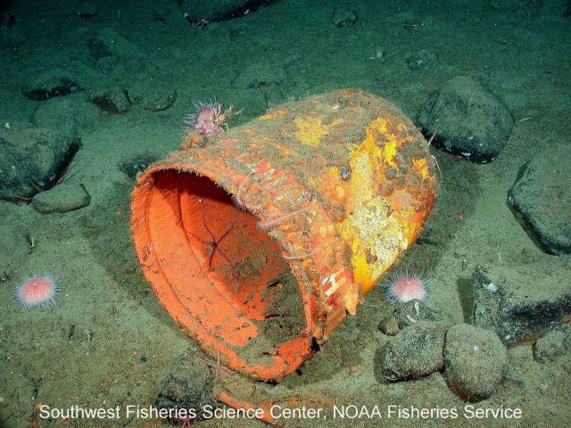 An orange bucket rests on the sea floor at the Blackgill Spot, near 43 Fathom Bank off the coast of San Diego Picture