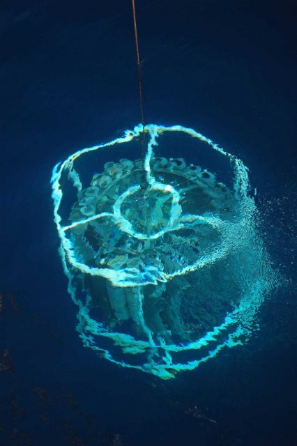 CTD rosette going down Picture