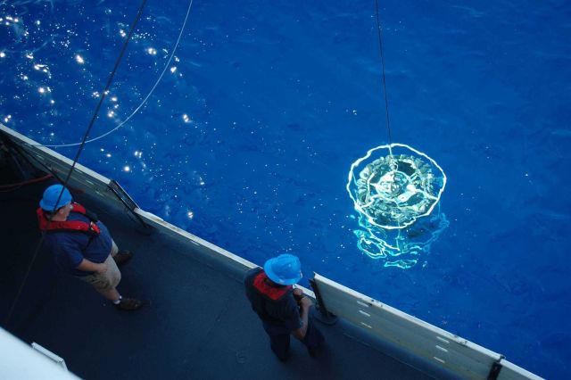 CTD rosette coming up Picture