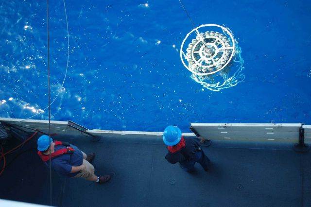 CTD rosette coming up Picture