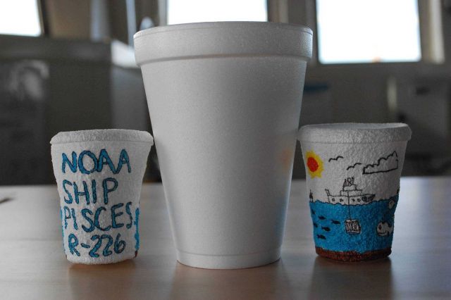 The small shrunken cups in this image are the same ones that were seen before going to depth in image fish2809, the previous image. Picture
