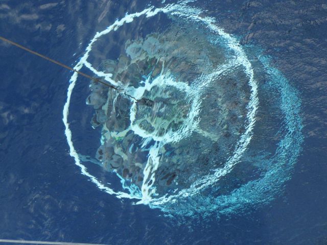 CTD rosette being deployed and going down. Picture