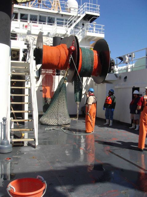Preparing to dump cod end of trawl into hopper, part of the ship ladder system for conveying fish to wet lab Picture