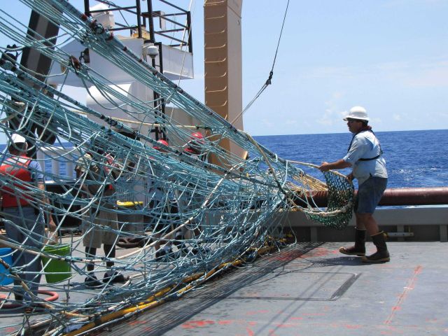 Natural resource damage assessment (NRDA) trawl being recovered from meso-bathypelagic depths - trawling at approximately 1400 meters depth Picture