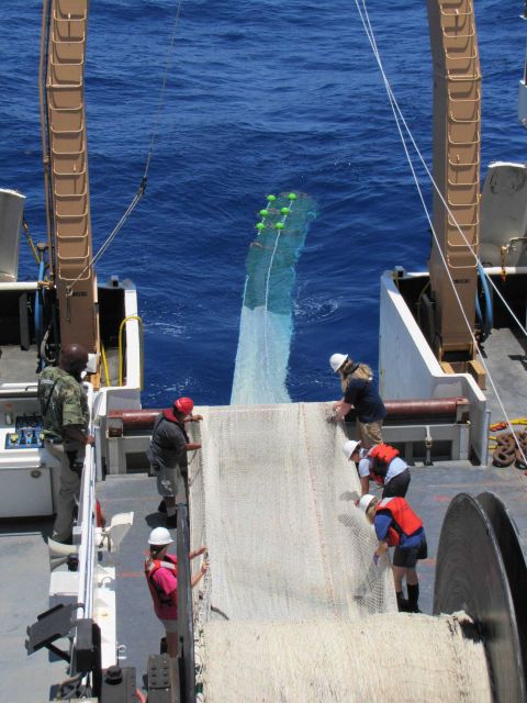 NRDA trawl - setting herring trawl for meso-bathypelagic depths Picture