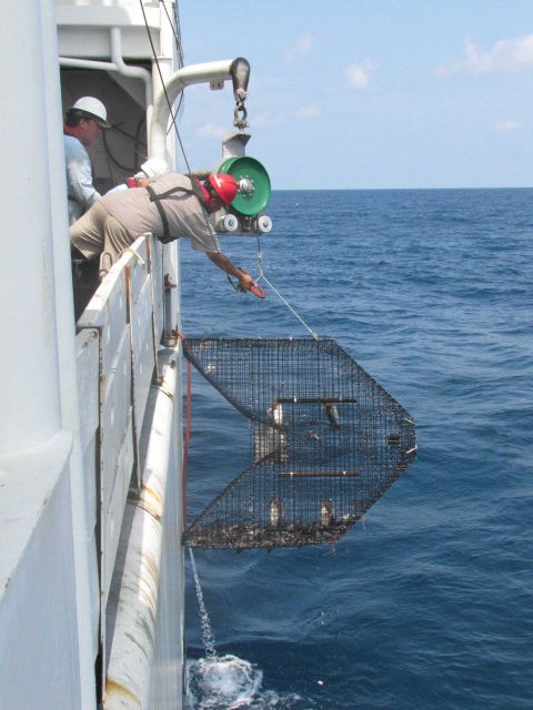 Recovering fish trap with power block. Picture