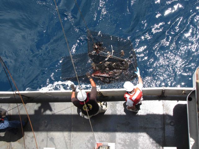Retrieving a chevron fish trap on NOAA Ship PISCES. Picture