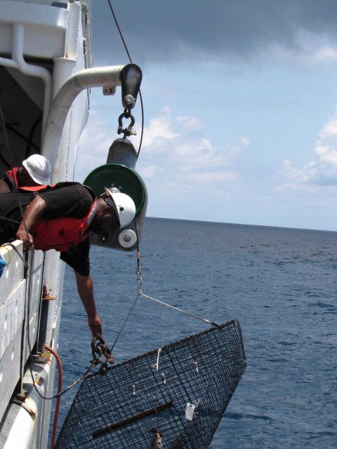 Retrieving a chevron fish trap on NOAA Ship PISCES. Picture