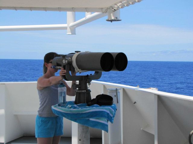 Biologist assuring no dolphin or marine turtles in vicinity of NOAA Ship PISCES while conducting trawl surveys which could entangle such protected res Picture