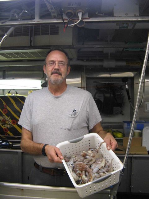 Scientist displaying a basket of squid obtained during trawl survey. Picture
