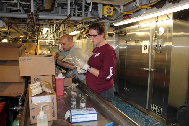 Scientist - Fisheries Collection Picture