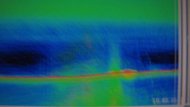 Fisheries Collection Picture