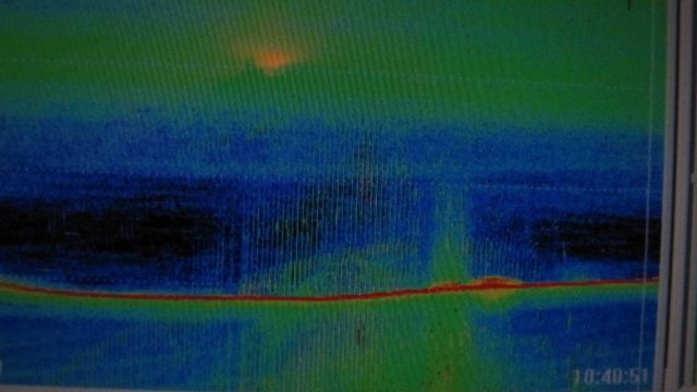 Fisheries Collection Picture