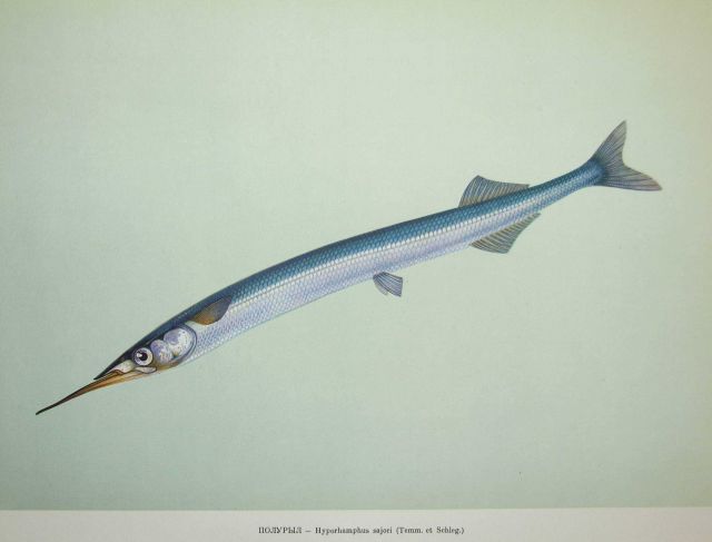 Plate 150 Picture