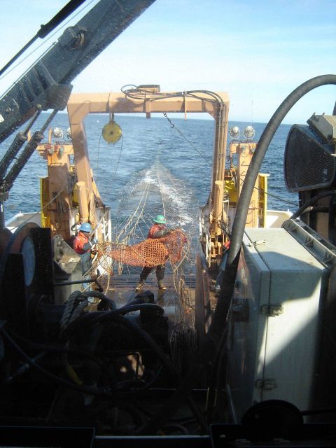 Trawling operations on the NOAA Ship DELAWARE II. Picture