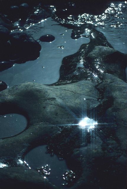 Light playing on a tide pool Picture