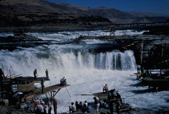 Native Americans dipnet fishing for salmon at Celilo Falls Picture