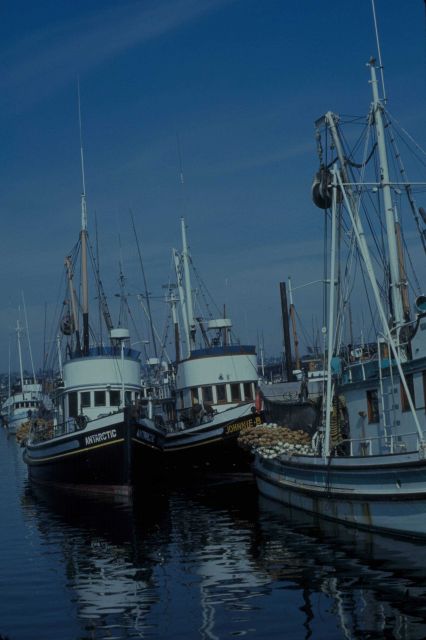 Salmon boats Picture