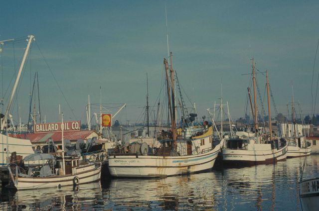 Salmon boats Picture