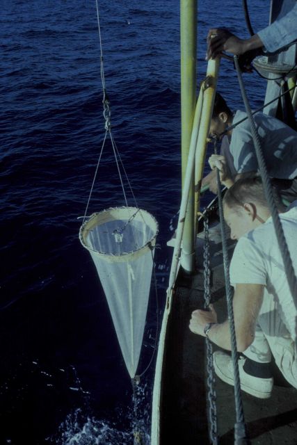 Retrieving plankton net Picture