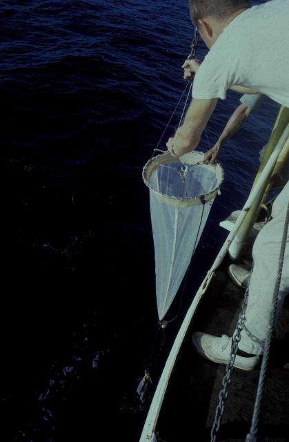 Retrieving plankton net Picture