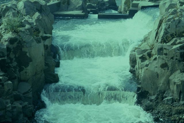 Fish ladder for salmon at Willamette Falls Picture