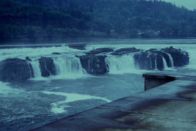 Willamette Falls Picture