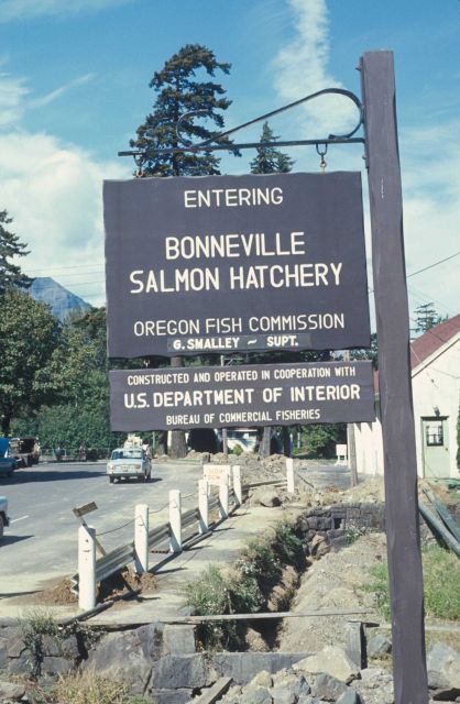 Bonneville Hatchery sign Picture