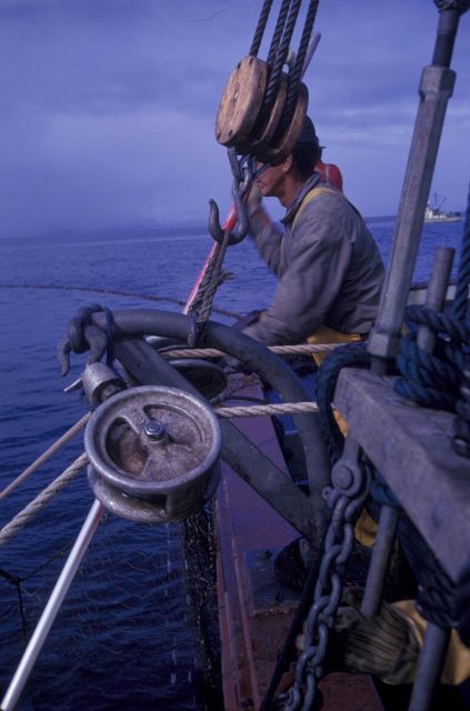 Salmon seining - retrieving the net with power block Picture