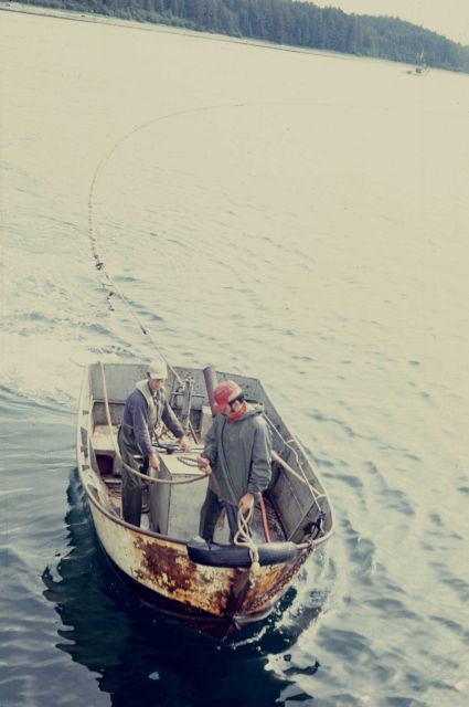 Salmon seining dinghy used to encircle school of salmon and return end of net to mother vessel for retrieval of net Picture