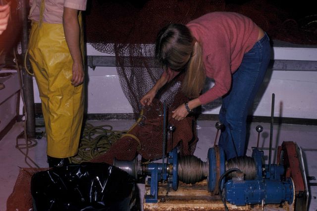 Night trawling on the NMFS research vessel RACHEL CARSON Picture