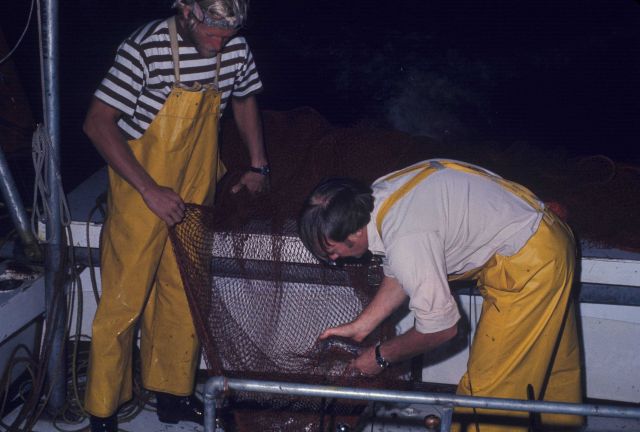 Night trawling on the NMFS research vessel RACHEL CARSON Picture