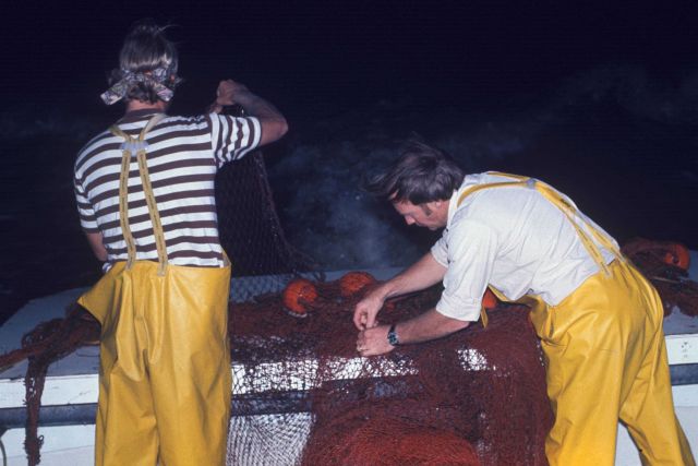 Night trawling on the NMFS research vessel RACHEL CARSON Picture