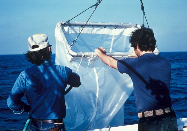 Deploying a neuston tow net Picture