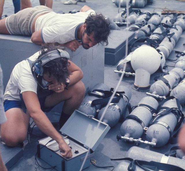 Communication with divers below? Acoustic monitoring of marine mammals? Picture