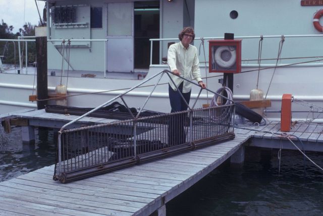 South Florida Offshore Environmental Study - a roller frame trawl Picture