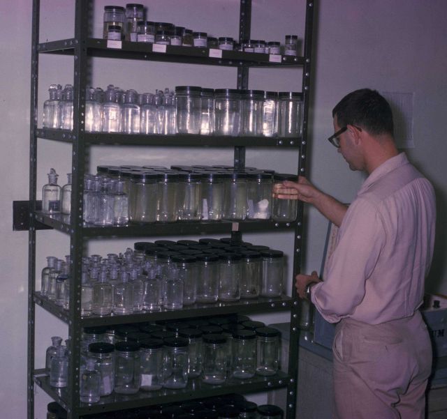 Red tide (harmful algal bloom) specimen collection bottles Picture