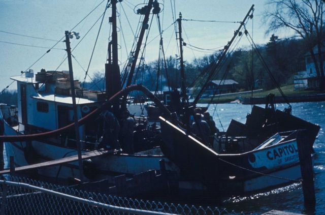 The trawler CAPITOL from the Gulf of Mexico and used in Lake Michigan fishery. Picture