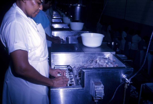 Shrimp peeling machines on processing line at shrimp processing plant. Picture