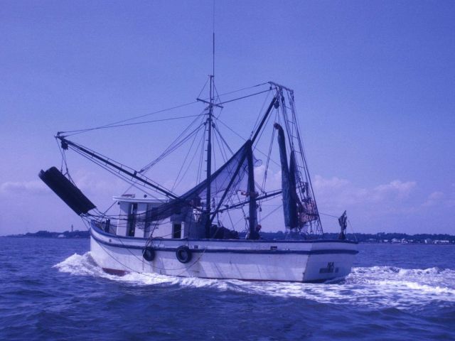 Double-rigged shrimp vessel underway with trawl and otter boards up. Picture