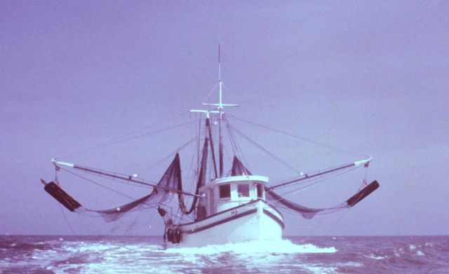 Double-rigged shrimp trawler underway with trawl nets up and out of water - head on view. Picture