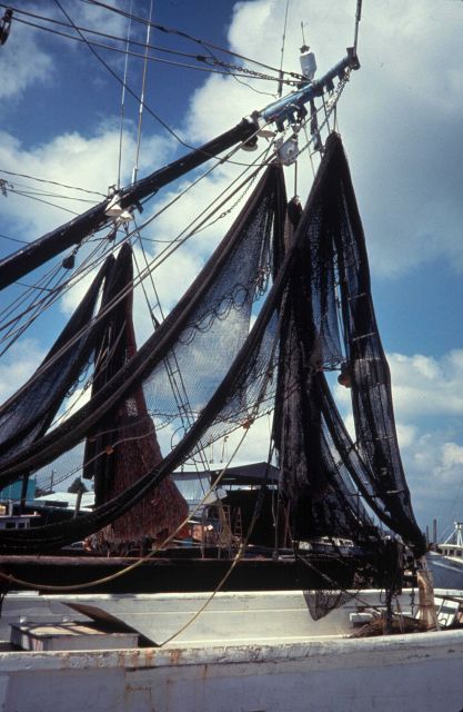 Shrimp trawler nets drying while inport. Picture