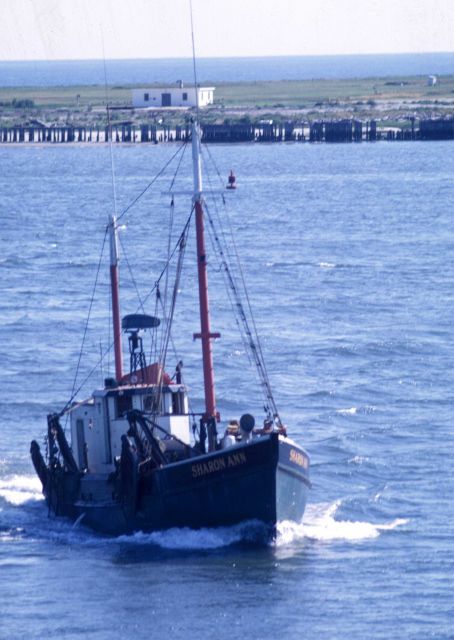 Although hull design is similar to Cape May clam dredgers, the vessel SHARON ANN is rigged as a shrimp trawler. Picture