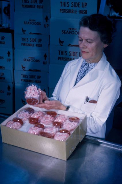 Developing new shrimp commercial product - Maine shrimp with sauce - at the Gloucester BCF Technological Technological Laboratory. Picture