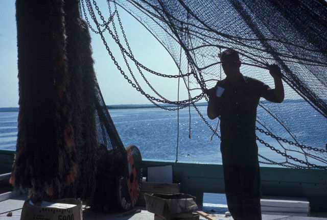 Shrimping operation on the east coast of Florida Picture