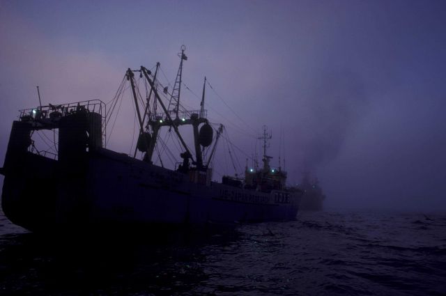 US-Japan Fisheries research vessel HATSUE MARU approaching Japanese factory ship in the eastern Bering Sea Picture
